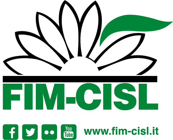 Logo FIM+social H